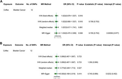 Exploring the casual association between coffee intake and bladder cancer risk using Mendelian Randomization